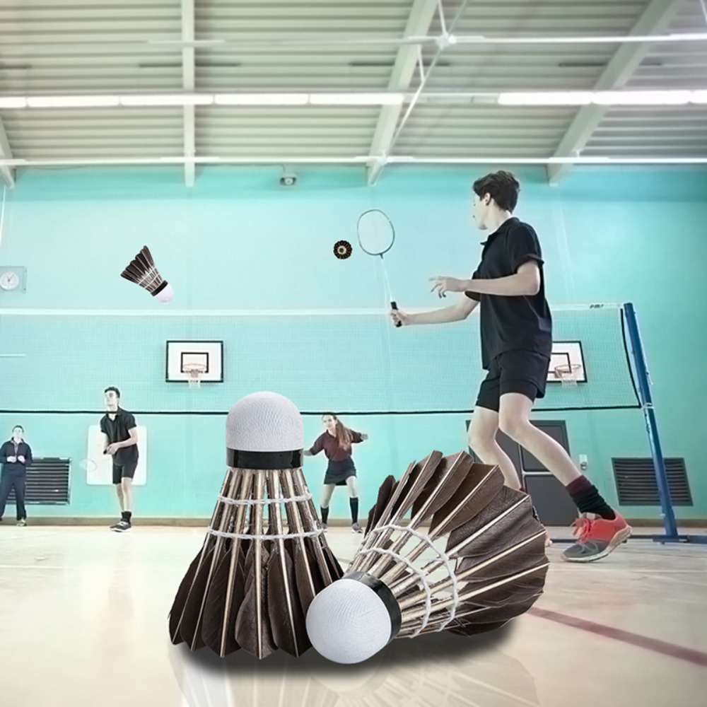 3/6/12 Stück Haushalts-Sporttr – Feather Shuttlecock Bewertung und Preis