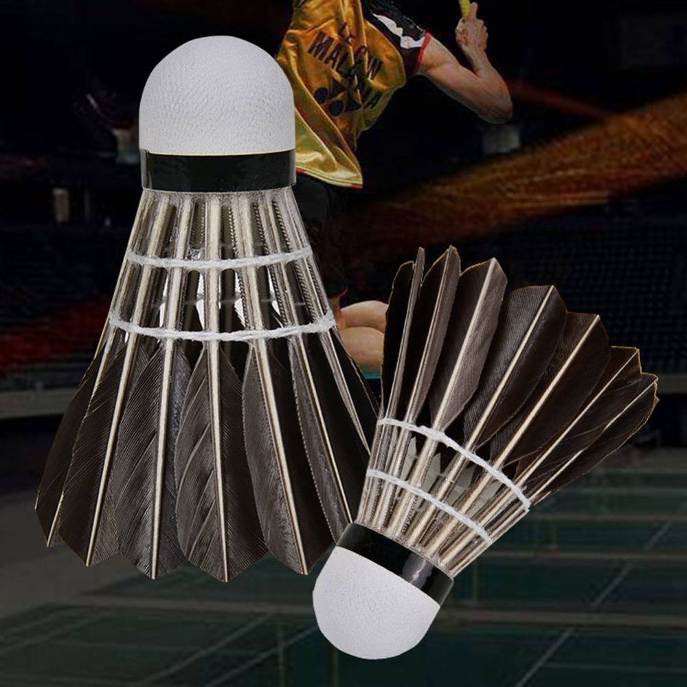 3/6/12 Stück Haushalts-Sporttr – Feather Shuttlecock Bewertung und Preis